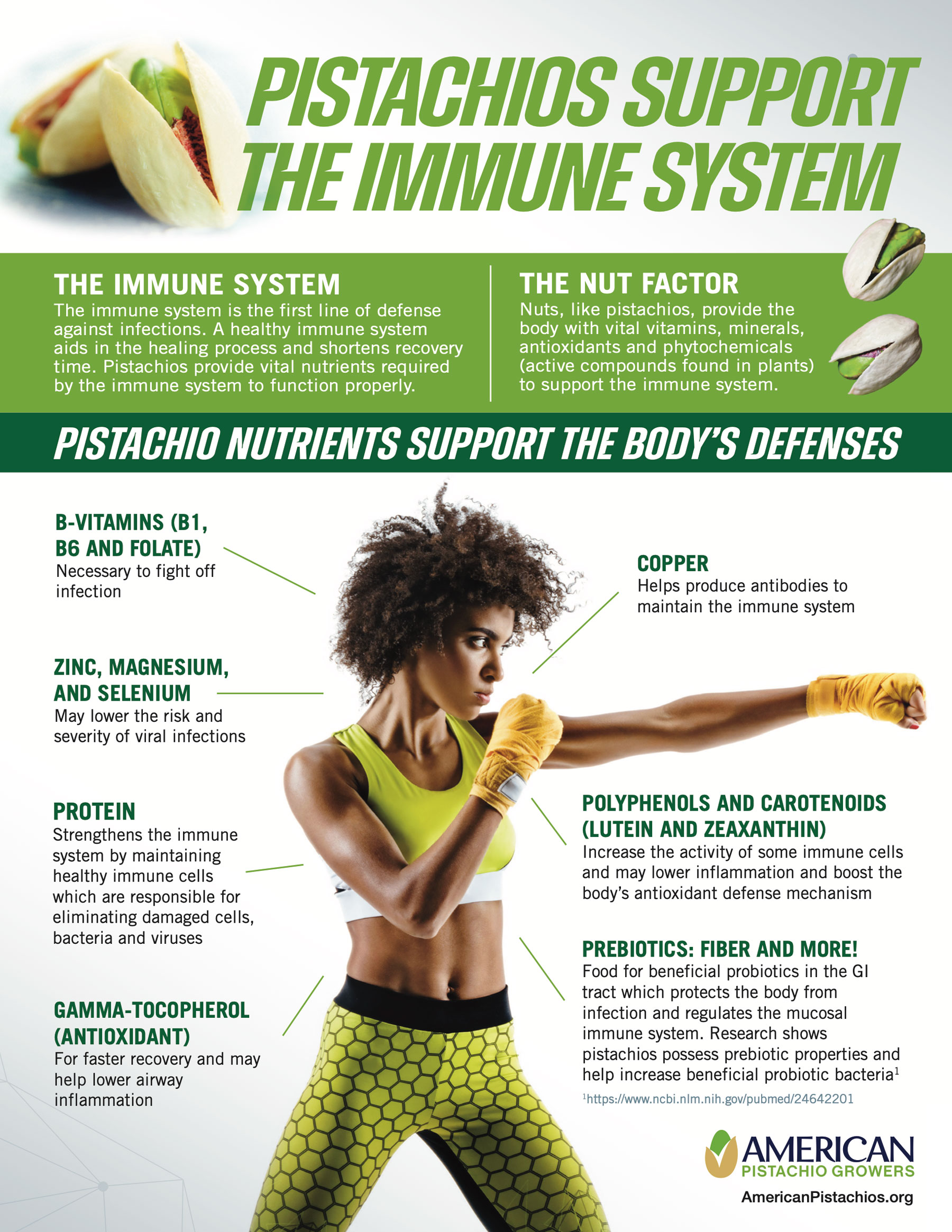 Immune System Infographic