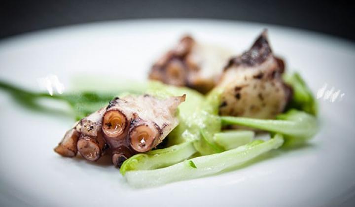 Steamed Octopus, American Pistachios Pesto and Puntarelle Chicory